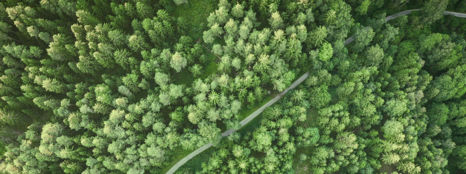 Das Nachhaltigkeitsziel von RENK: Net-Zero bis 2050